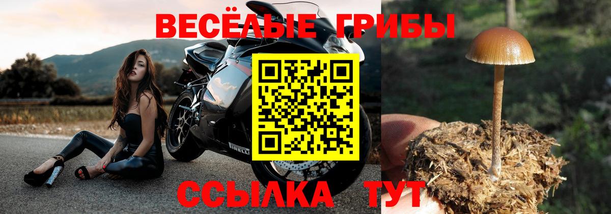 Советский  Псилоцибиновые грибы GOLDEN TEACHER  Галлюциногенные грибы GOLDEN TEACHER  Вход с VPN 
